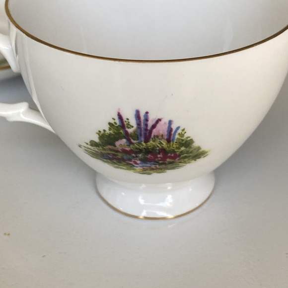 Vintage Royal Vale Teacup & Saucer Cottage Scene & Gardens - Bone China England - Picture 7 of 15